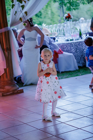 Chantelle&MikeWed-544