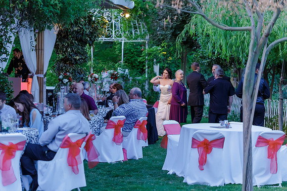 Chantelle&MikeWed-557