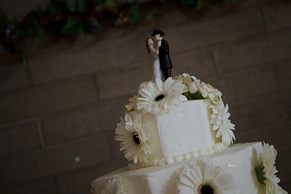 11Nancy&ChrisWed276