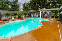 4906Webster10