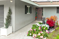 4906Webster11