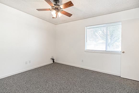 3324WildPalms22