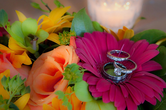 aliciajoewed011 (Edited).jpg