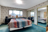 3342Roselle10