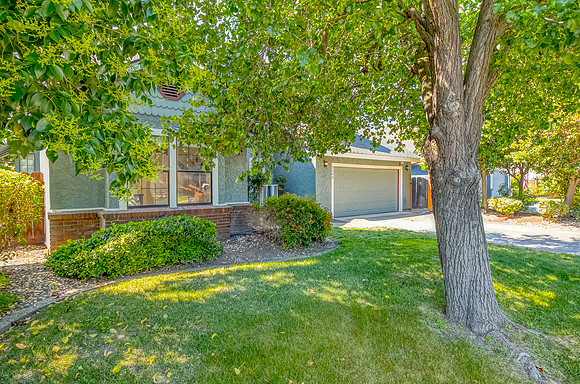 2508Veneman03