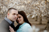 ShellySean012
