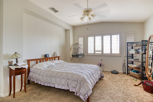 3724Macadamia23