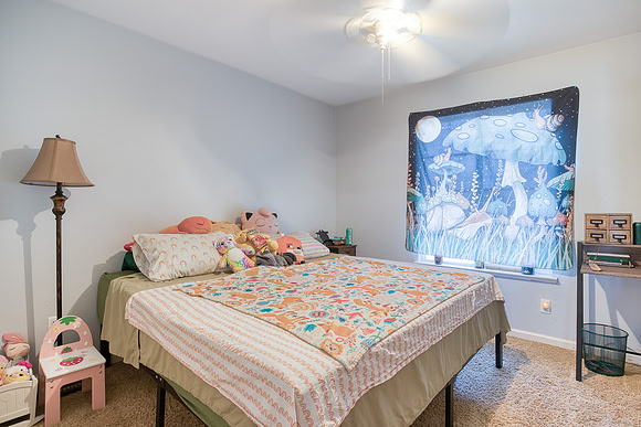 3724Macadamia28