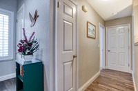 2809SandStone20