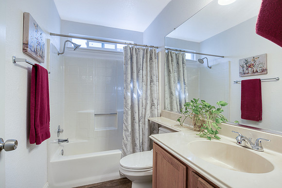 2809SandStone22