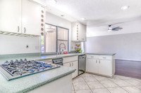1602Venetian11