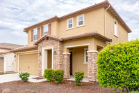 3853banyan02