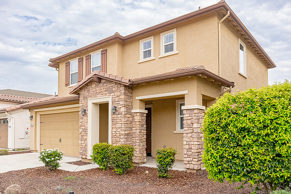 3853banyan02
