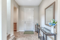 3853banyan05