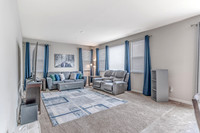 3853banyan09