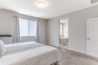 3853banyan18