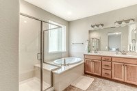 3853banyan19