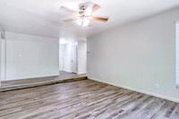 3709Columbine18