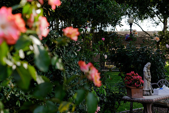 Nicole&Greg-173