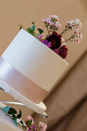 AlexTonyWed-356