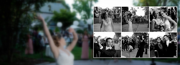 Wedding Book