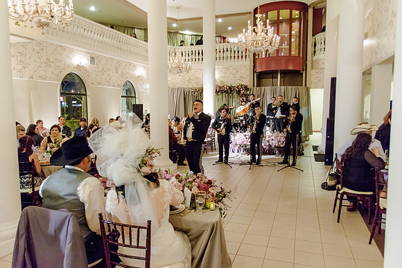 AlexTonyWed-564