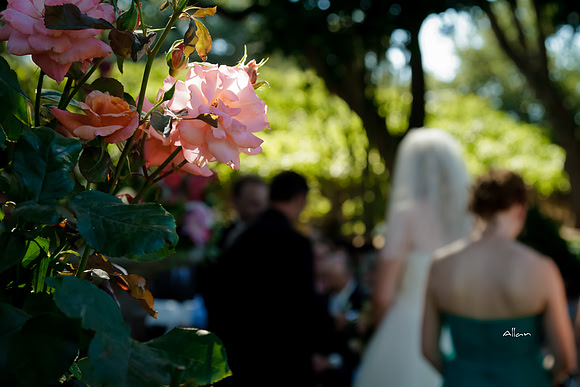 Sarah&Kevin-265-2