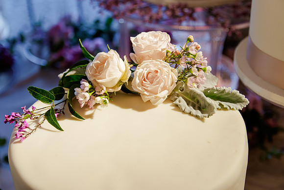 AlexTonyWed-354