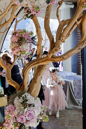 AlexTonyWed-369
