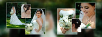 Shelly&Sean 004 (Sides 7-8)