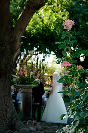 Sarah&Kevin-266-2