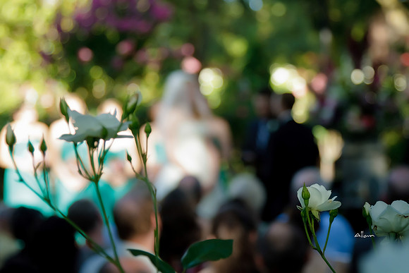 Sarah&Kevin-292-2