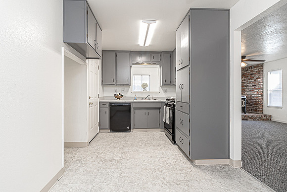3324WildPalms12