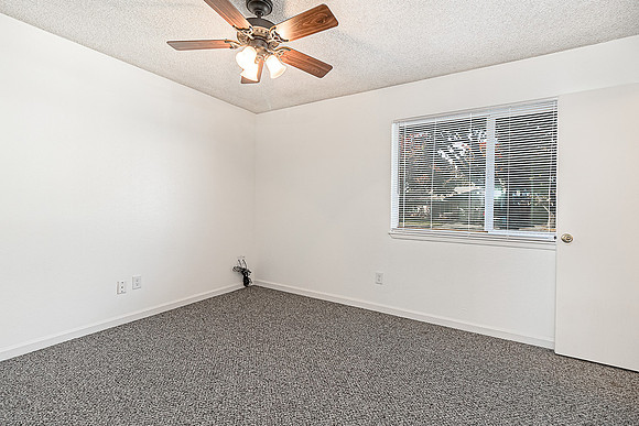 3324WildPalms21
