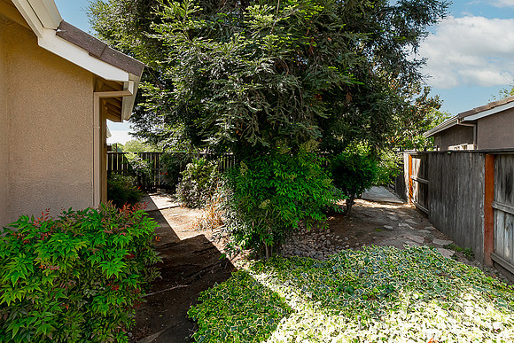5304Homewood24