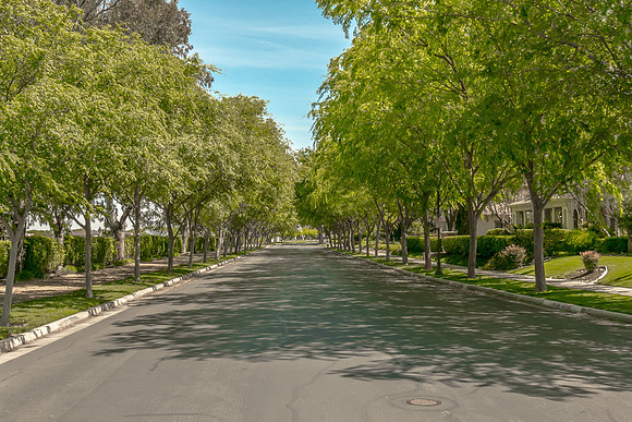 Green Haven-007