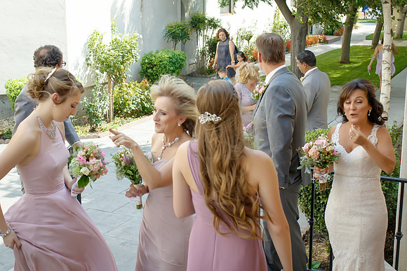 D&Cwed-250
