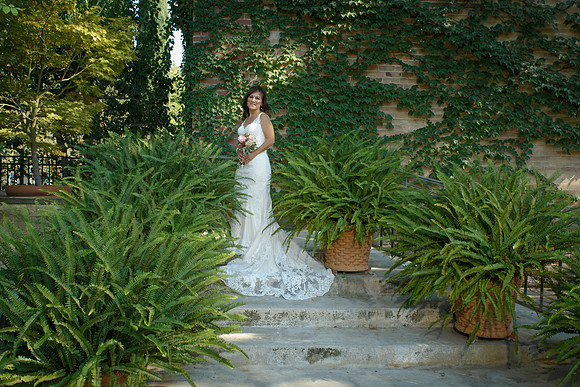 D&Cwed-304