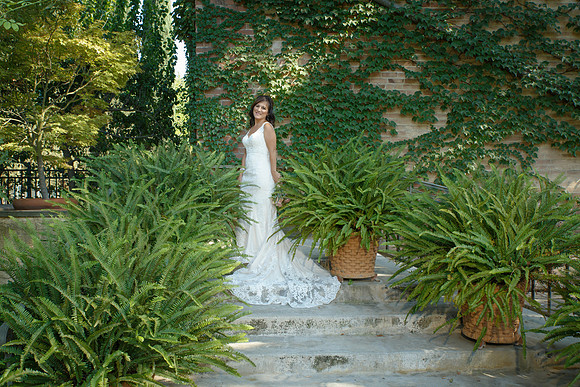 D&Cwed-305