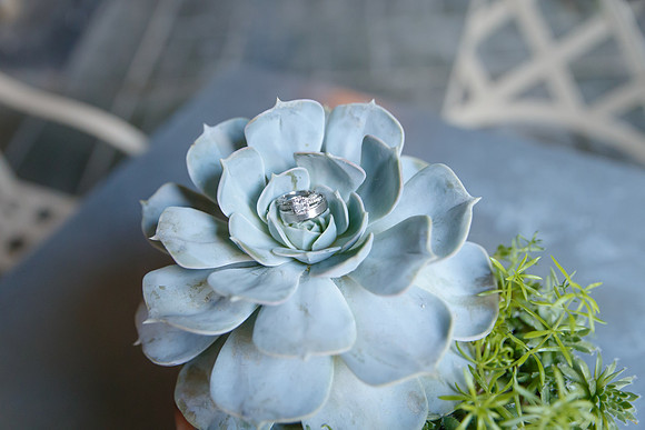 D&Cwed-388