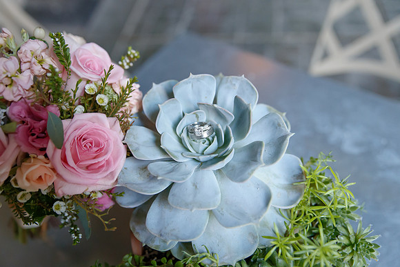 D&Cwed-390