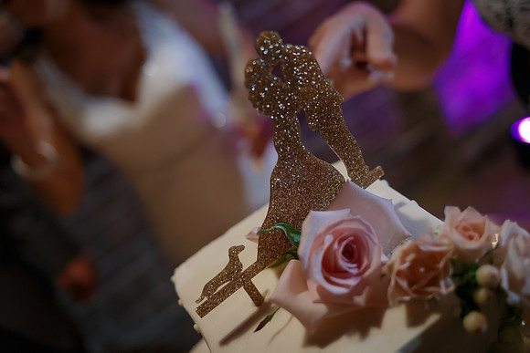 D&Cwed-568