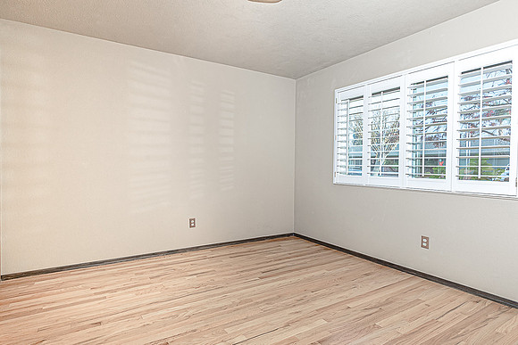 1613Springwood21