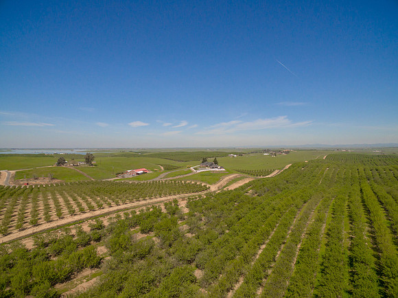 2413 Los Cerritos41