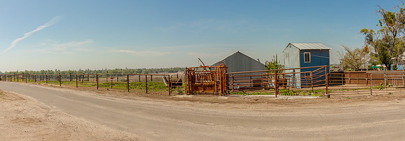 9867Jackson-009