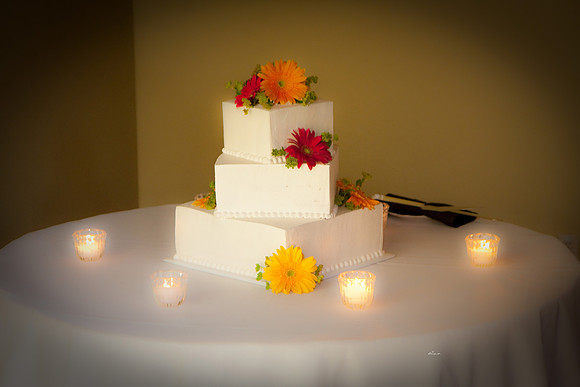 aliciajoewed295.jpg