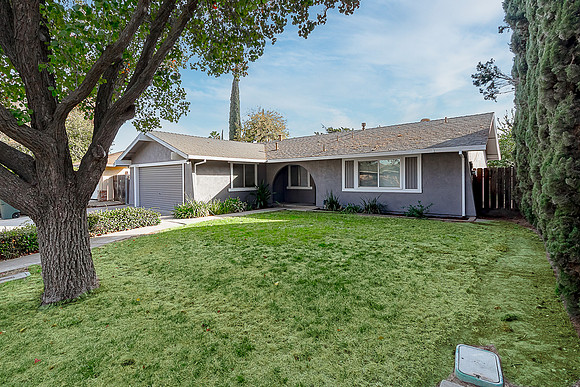 3324WildPalms01
