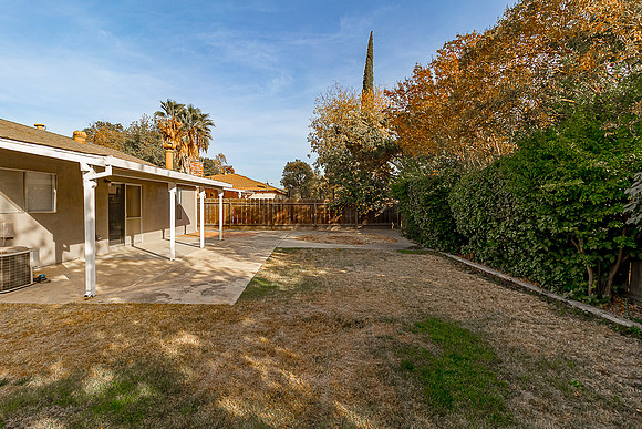 3324WildPalms26