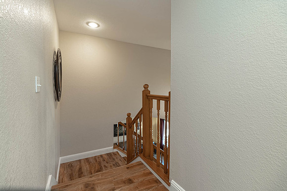 Rainwood029