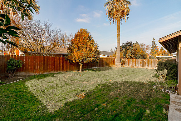 1613Springwood24